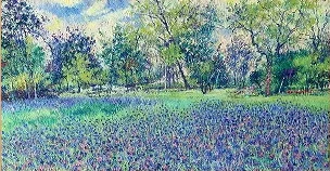 Meadow of Whispering LightMeadow of Whispering Light